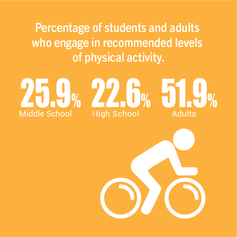 Percentage of students and adults who engage in recommended levels of physical activity.