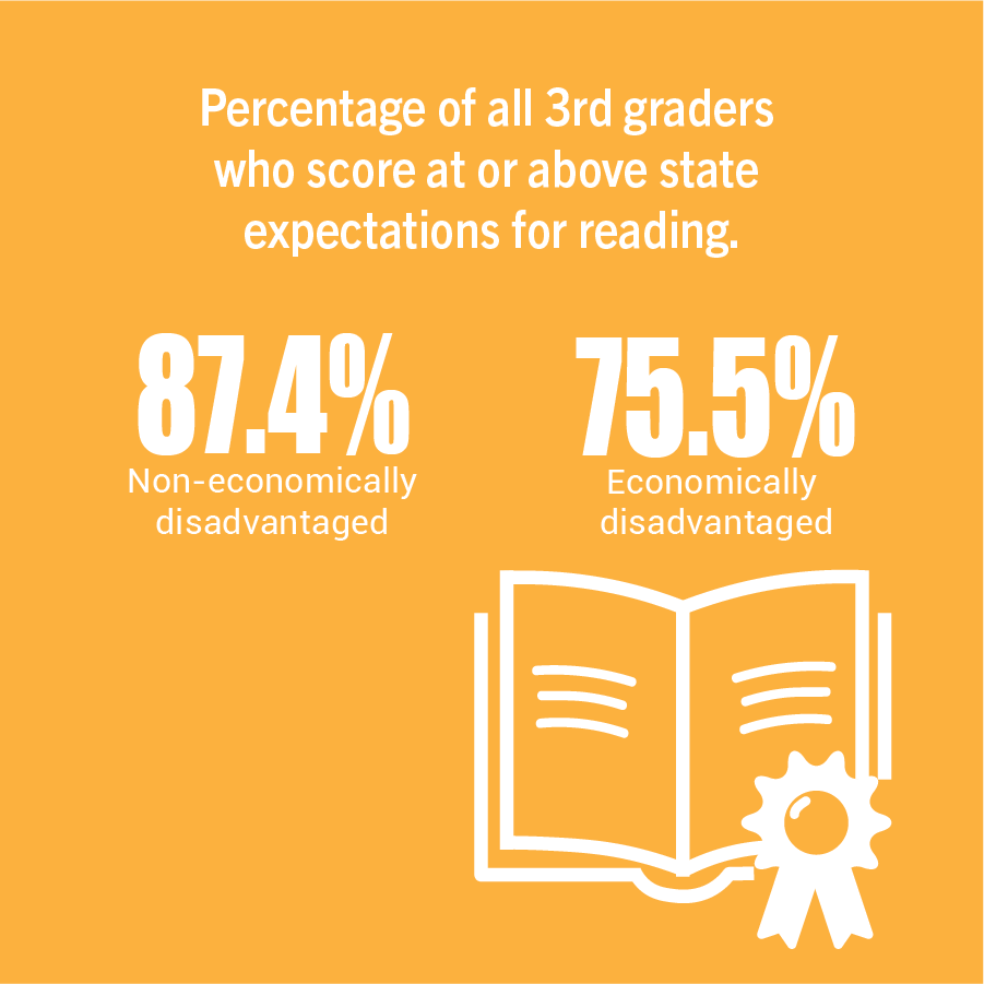 Percentage of all 3rd graders who score at or above state expectations for reading.