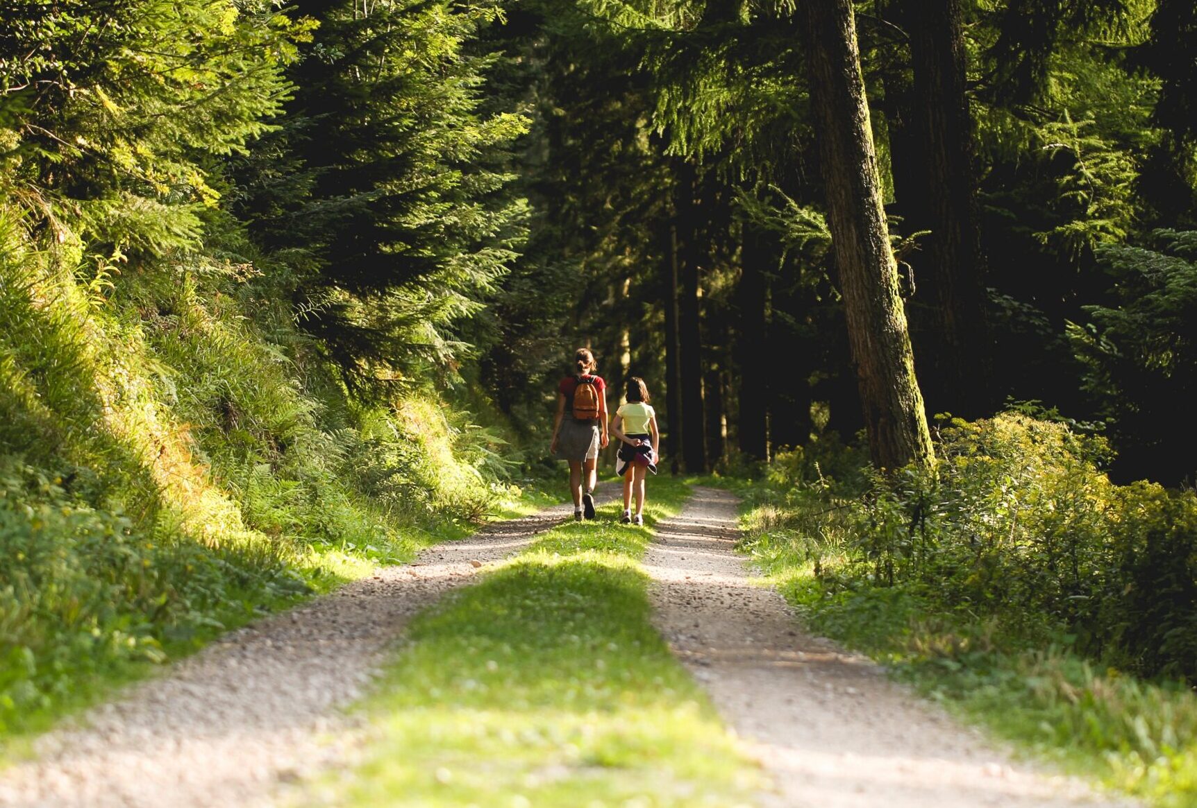 Two hikers walking a dirt trail through a dense, sunlit forest with tall trees on either side.